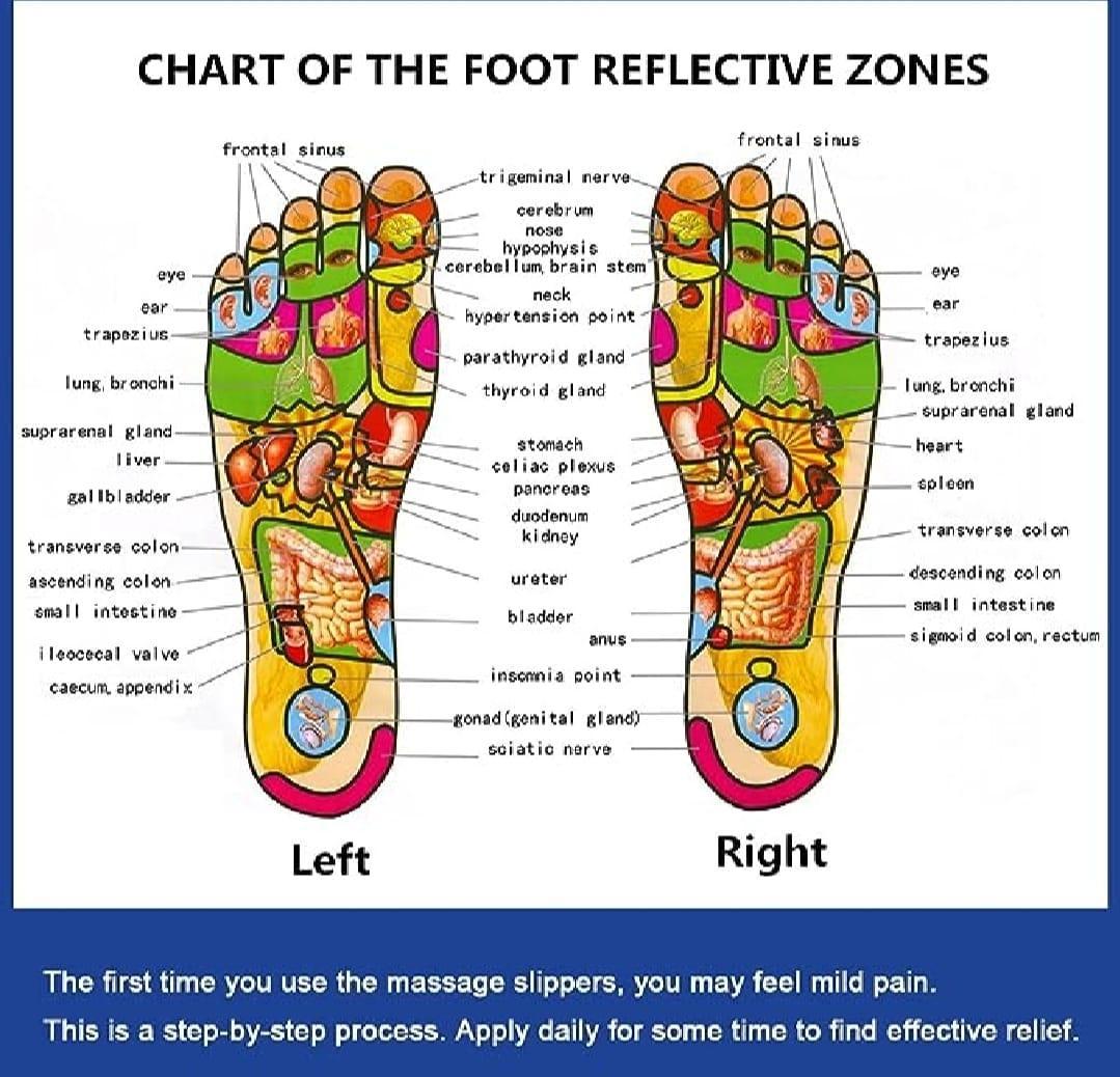 Acupressure Foot Massager – Non-Slip, Adjustable Buckle | Best Price in Pakistan